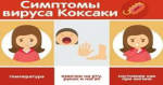 Энтеровирусные (неполио) инфекции (ЭВИ)